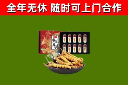 罗田烟酒回收冬虫夏草礼盒.jpg